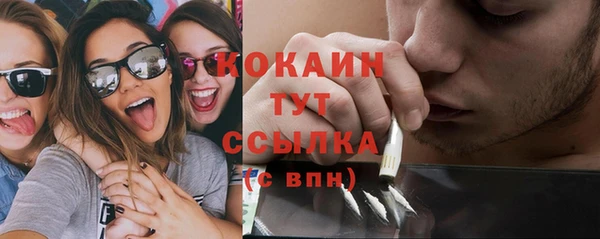 мдпв Майский
