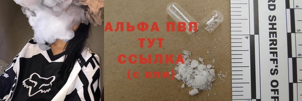 индика Ладушкин