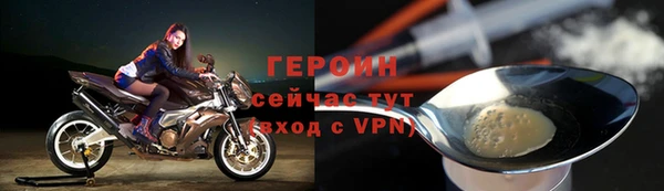 индика Ладушкин